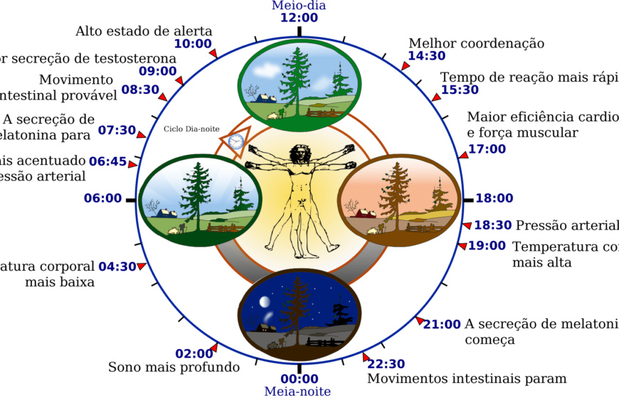Ritmo Circadiano